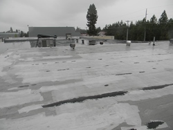 tpo roof repair